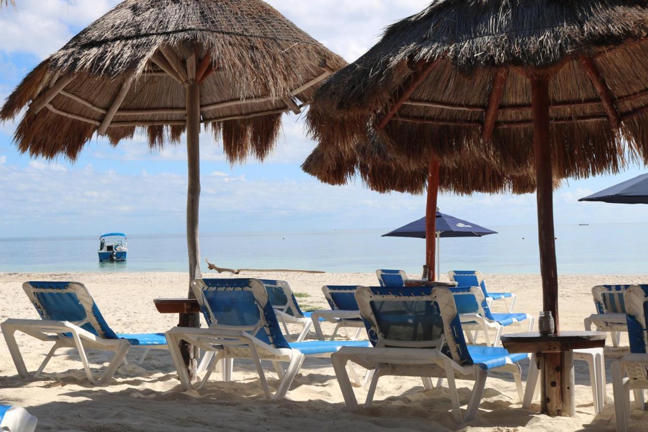 The Diving Lodge Downtown Puerto Morelos Exteriör bild
