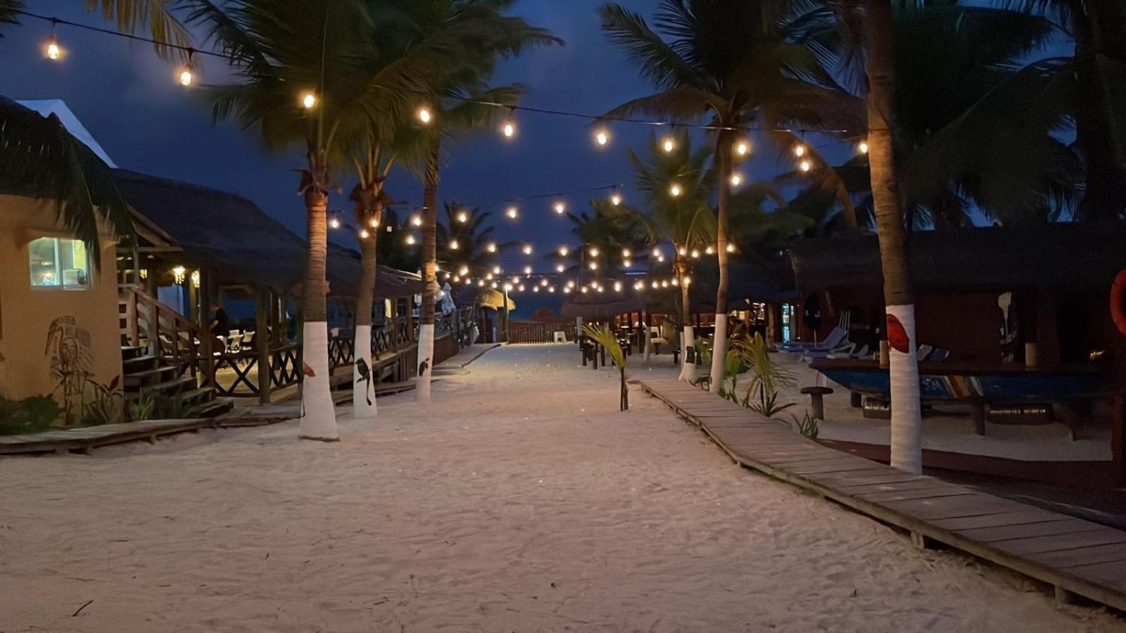 The Diving Lodge Downtown Puerto Morelos Exteriör bild